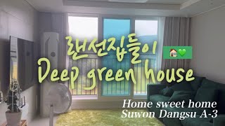 수원 당수LH A3 55B 랜선집들이 🏠 신혼집 Deep green house💚 [upl. by Hogue]