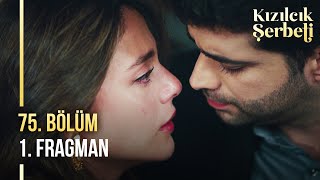 Kızılcık Şerbeti 75 Bölüm 1 Fragman  quotHer zaman yanındayımquot [upl. by Cherrita315]