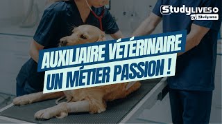 Auxiliaire spécialisée vétérinaire  un métier passion [upl. by Ammamaria]