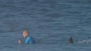 Pro surfer fights off attacking shark [upl. by Noedig]