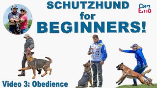 Schutzhund For Beginners Obedience [upl. by Benildis]