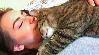 Snuggle Time Is Coming Cute Cats And Their Owners Sleep Together [upl. by Anirod]