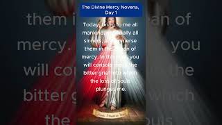 The Divine Mercy Novena day 1 [upl. by Val]