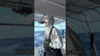 Tonga nach Neuseeland Tag 8 sailing adventure travel ocean food outdoors [upl. by Molahs476]