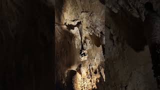 Carlsbad caverns vanlifetravelcarlsbad [upl. by Immaj798]