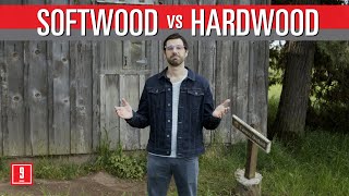 Wood Ceiling Considerations  Softwoods vs Hardwoods [upl. by Acsirp]