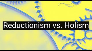 Reductionism vs Holism Battle of Philosophical Methodologies [upl. by Ritchie434]