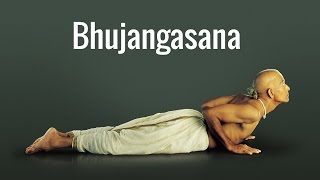 Bhujangasana the snake pose [upl. by Kono214]