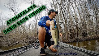 Flipping bushes and lay downs for spawning Atchafalaya Basin bass [upl. by Tebzil]