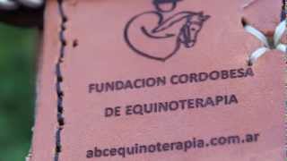 Montura para Equinoterapia  Fundacion Equinoterapia [upl. by Wein]