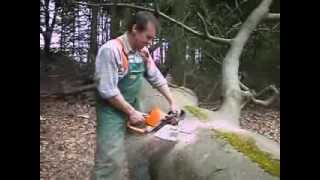 MOTOSIERRA STIHL MS 310 [upl. by Idnor]