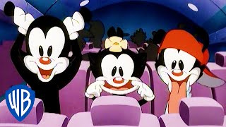 Animaniacs  The Worst Flying Buddies  Classic Cartoon  WB Kids [upl. by Darrey85]