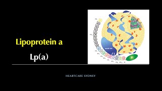 Lipoprotein a or Lpa know your Lpa level [upl. by Desdee928]