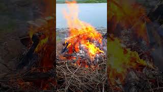 🔥Midsummer celebration in Norway🔥Summer solstice 2024🔥 celebration fire shorts shortsvideo [upl. by Mehetabel218]