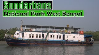 Sundarbans National Park West Bengal  All about journey on ship [upl. by Nessi14]