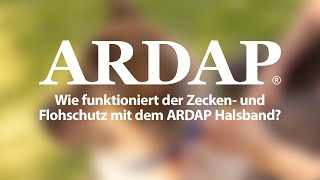 ARDAP Zecken und Flohhalsband für Hunde und Katzen [upl. by Kappel139]