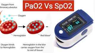 What is PaO2 and SpO2  What is difference between Oxygen saturation and Partial pressure of Oxygen [upl. by Arvad]