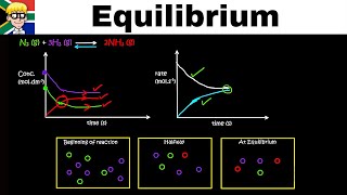 Equilibrium Graphs grade 12 Introduction [upl. by Scheck]