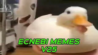 ECNEBI MEMES V25 [upl. by Maccarthy]