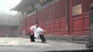 Bagua demonstration [upl. by Abie7]