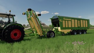 FS22  Lizard Trailed Windrower [upl. by Rickart756]