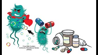 Understanding Antibiotic Resistance Mechanisms and Prevention [upl. by Eittocs531]