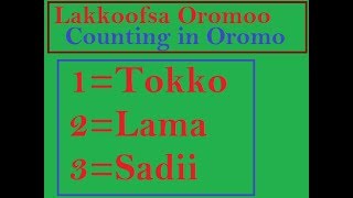 Counting in Oromo Language [upl. by Enitsej510]