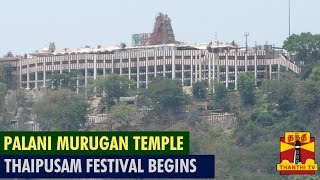 Palani Murugan Temple Thaipusam Festival Begins  Thanthi TV [upl. by Launamme151]