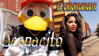 El Chichicuilote  Despacito video Oficial [upl. by Sink781]