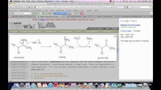 Imine amp Enamine Tautomerization [upl. by Dnaltroc]