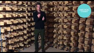 Reverberant vs Anechoic chamber ENG subtitles [upl. by Antipas686]