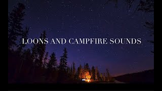 1 Hour Loon Calls With Campfire Sound  Loon Calls For Relaxing NO MUSIC [upl. by Cormick]