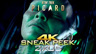 Star Trek Picard 2x05 Sneak Peek Clip  Sensual Borg Queen mmmh Teaser Trailer Promo 205 S02E05 [upl. by Llerud]