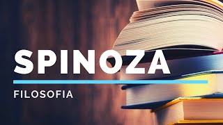 2 Spinoza la concezione di filosofia [upl. by Kolosick626]