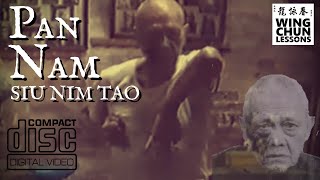 Pan Nam Wing Chun Siu Nim Tao with Notes [upl. by Gowrie]