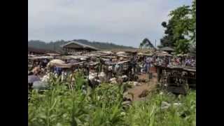 Ndanifor Permaculture Eco village Permaculture the African Way [upl. by Brownson]