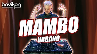 Mambo Urbano Mix 2021  2  Best Mambo Urbano amp Mambo Remix 2021  Merengue Mambo 2021 by bavikon [upl. by Onez]