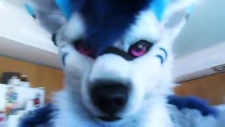 AHKARA FURSUIT suit up video [upl. by Narud]