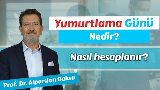 Yumurtlama Günü Hesaplama Nasıl Yapılır [upl. by Benito]