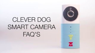 Clever Dog FAQs [upl. by Acul]