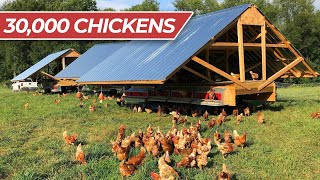 LIVE Tour Joes Farm Pastured Poultry [upl. by Tressia772]