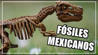 ¿Qué fósiles han sido encontrados en México  CIENCIA A LA MEXICANA [upl. by Nich]