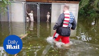 Incredible moment six dogs are rescued hurricane Florence flooding [upl. by Aittam]