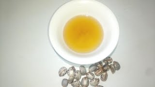 How to make castor oil at home [upl. by Madea]