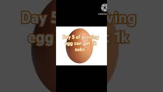 Day 5 of proving egg can get 1k subs [upl. by Falito171]