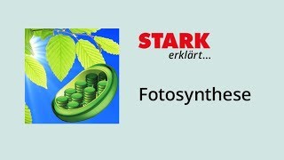 Fotosynthese – Bedeutung und Ablauf  STARK erklärt [upl. by Mohorva]