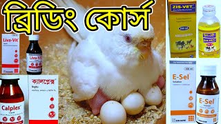 বেশি বেশি ডিম বাচ্চা করানোর উপায়পাখির ব্রিডিং কোর্স। Breeding Course [upl. by Carlin]