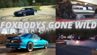 Fox Body 50 Mustang Exhaust Sounds Cold Starts Burnouts Doughnuts amp Dyno Compilation Vol 1 [upl. by Lopez]