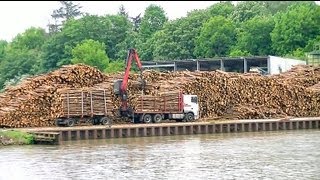 Holzverladung im Papenburger Hafen  Loading wood in the Papenburg Harbor Germany [upl. by Adachi]