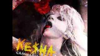 Keha  Cannibal Live  Get Sleazy Tour 2011 Studio Version [upl. by Swann183]